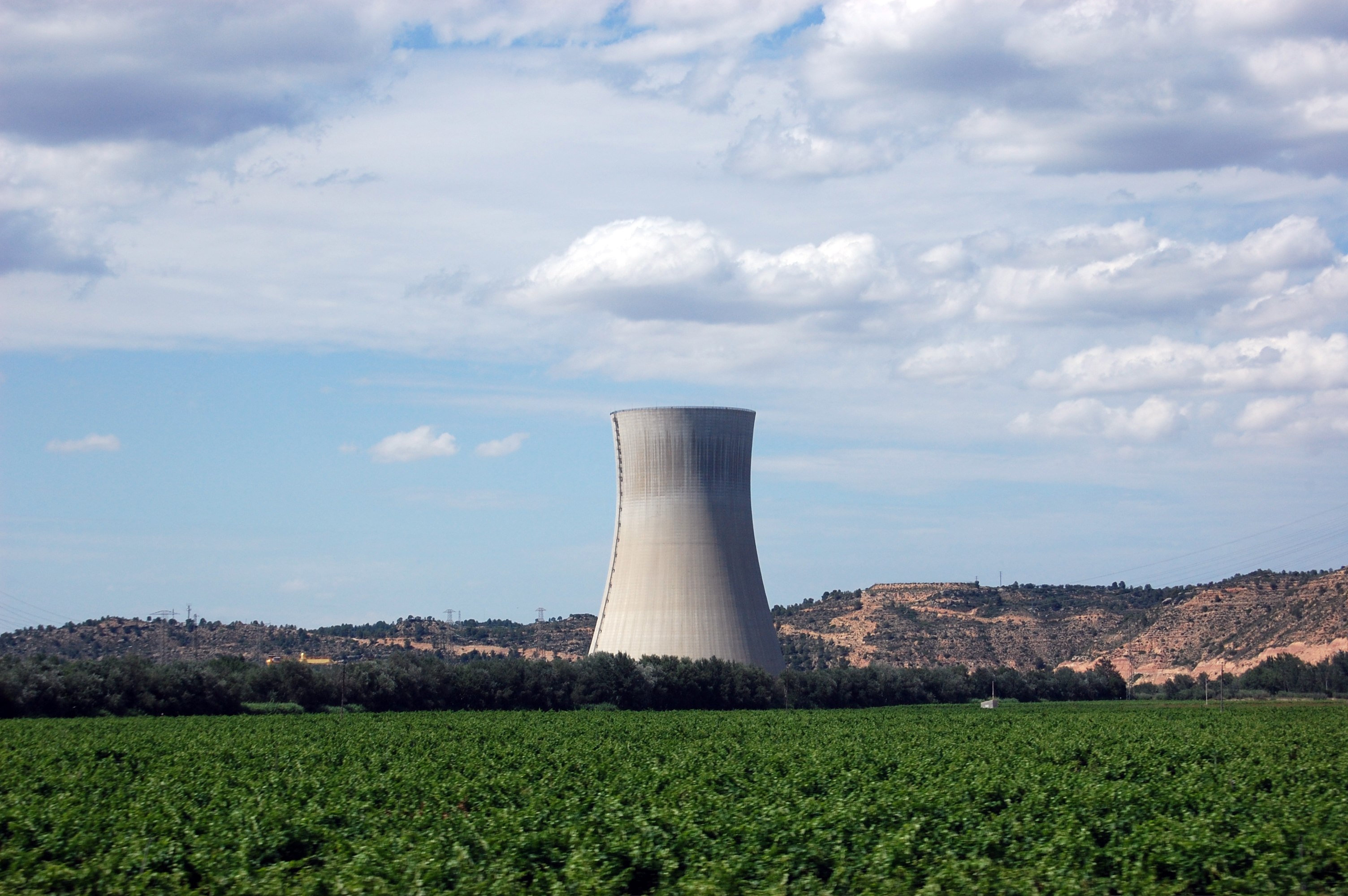 Central_Nuclear_asco.jpg