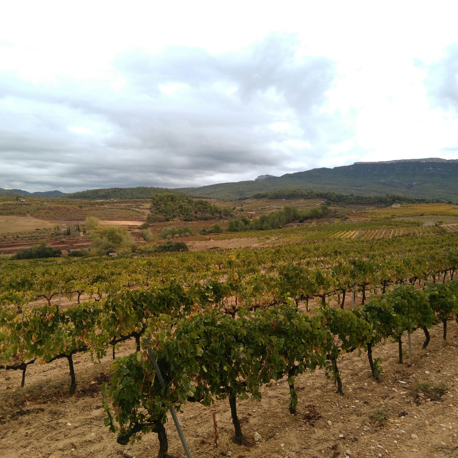 fotopaisatgepriorat